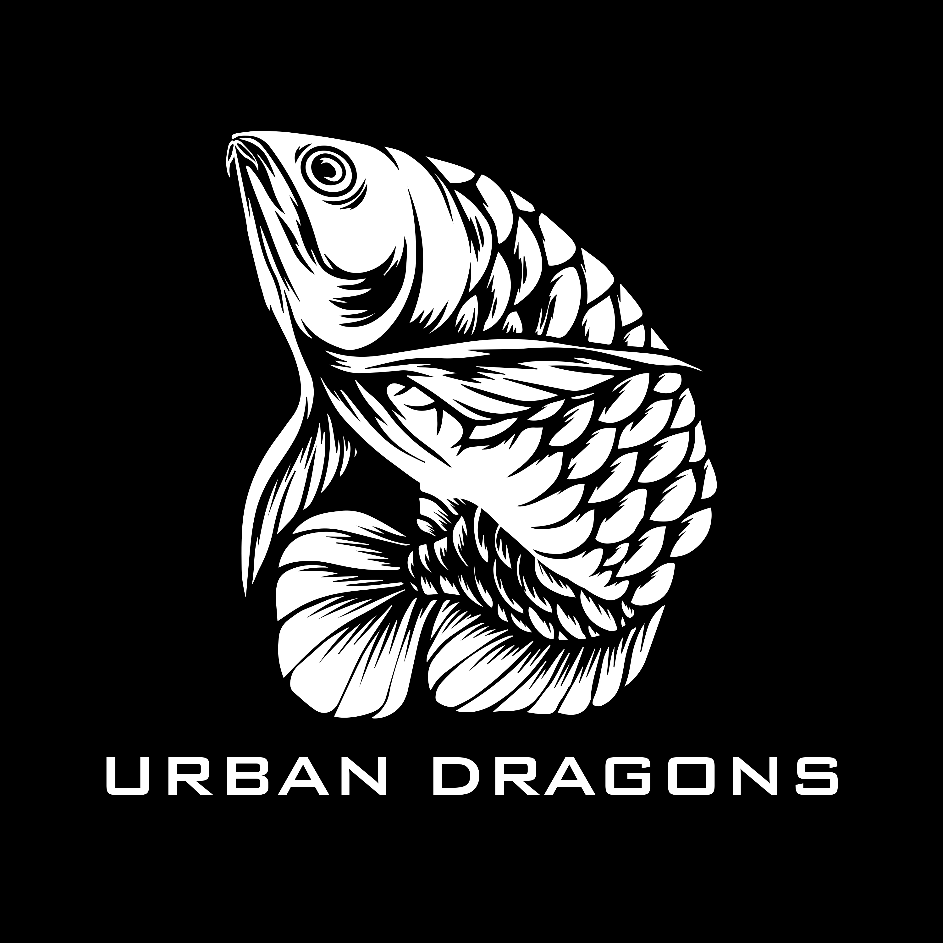 UrbanDragons